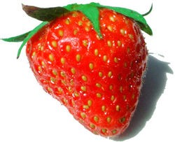 La fraise