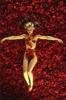 American Beauty